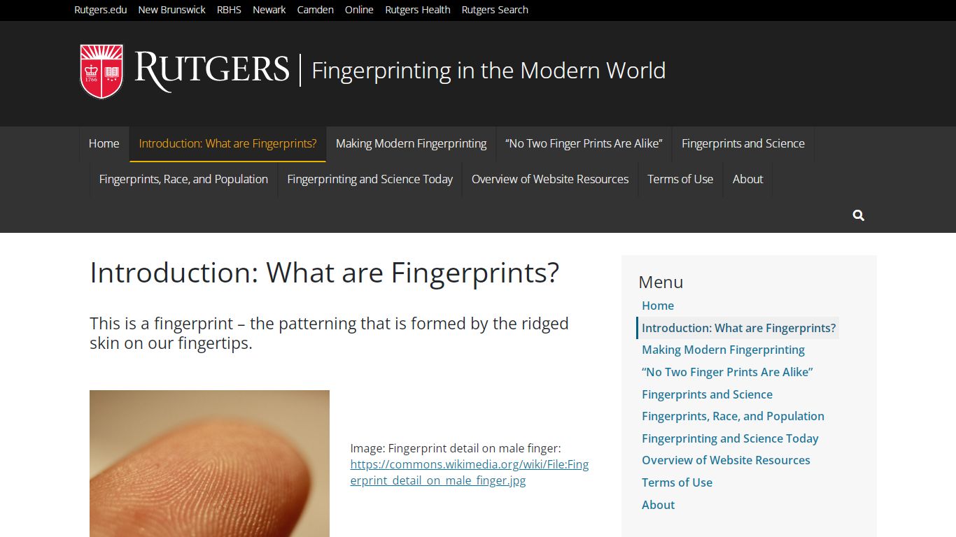 Introduction: What are Fingerprints? – Fingerprinting in the Modern World